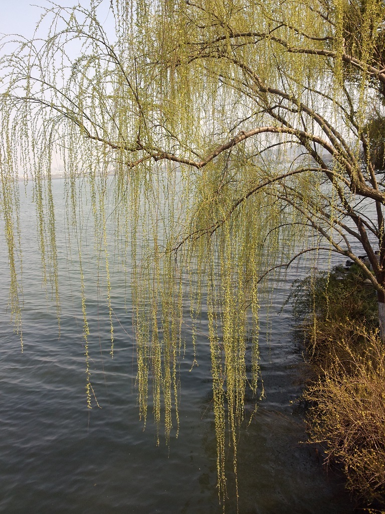 West Lake